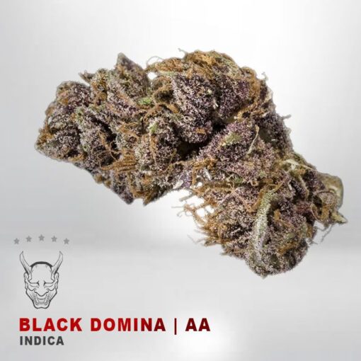 v7-Black Domina – AA – $75/Oz-0 Product Variation