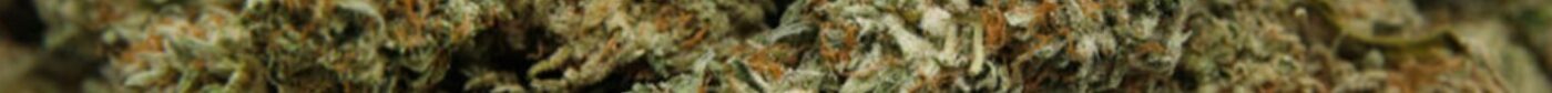 Hunny Pot Cannabis Online Store