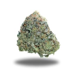 Lucky 7 Pink – Indica