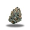 Green Gas – Indica