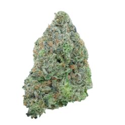 Pink Coma 2.0 – Indica