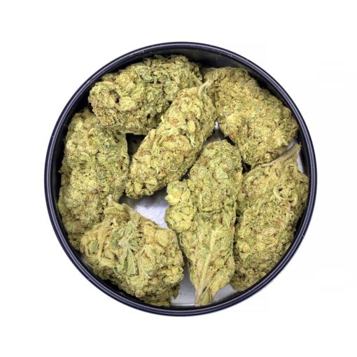 v7-Hash Plant – AAA – $110/Oz-0 Product Variation