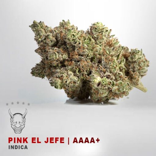 v7-Pink El Jefe – AAAA+-0 Product Variation