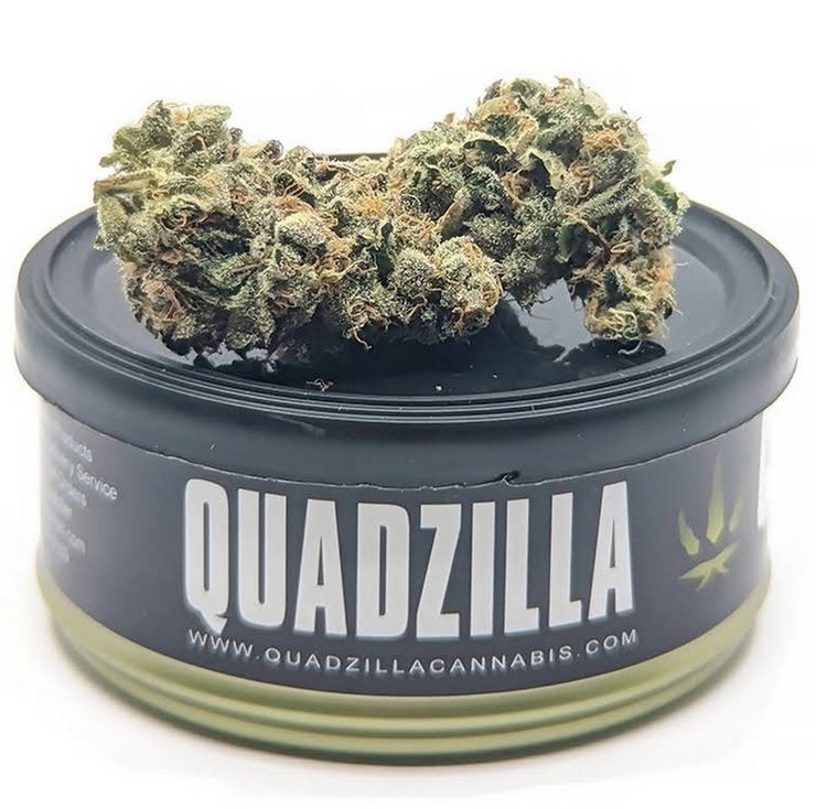 Quadzilla weed - What happened to Quadzilla Cannabis? - UberweedShop Comparison