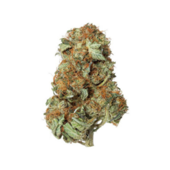 MK Ultra – Indica Limited Special