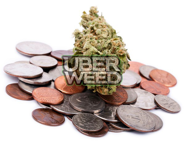 buying cannabis in quebec sqdc online dispensary guide 25 - Buying Cannabis in Quebec: SQDC Online Dispensary Guide