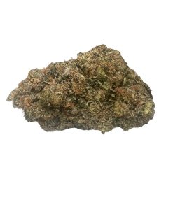 Pink Cosmo – Indica